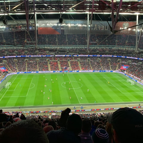 Wembley Stadium crowd