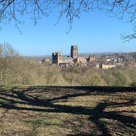 Observatory Hill views